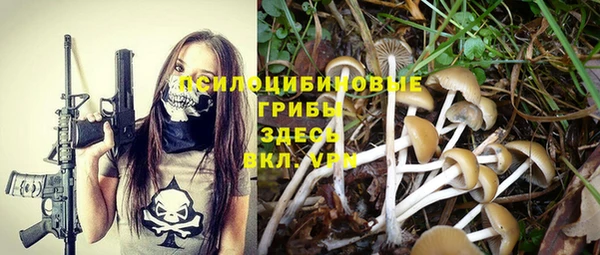 ешки Белокуриха